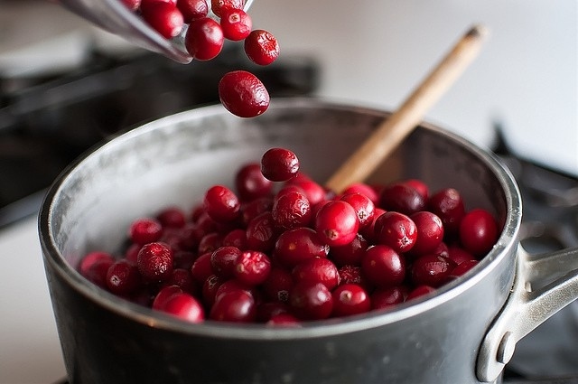 Cranberries Quelle Vitamine Fit und gesund leben essen im Winter-Tipps