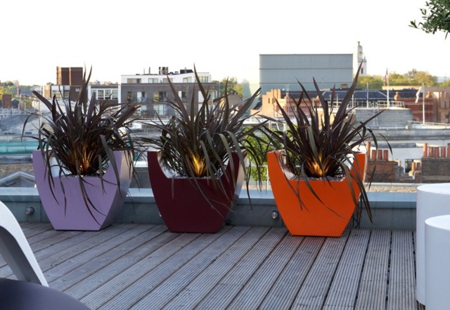 Dachterrasse Beleuchtung immergrüne Pflanzen Sichtschutz