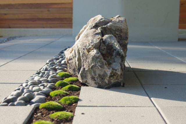 Steine Moos Flusssteine Basalt Garten Gestaltung