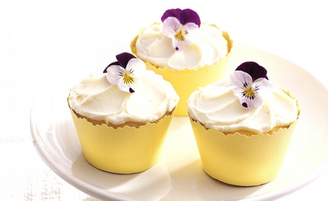 Veilchen dekoriert Cupcakes Vanilie Süß lecker