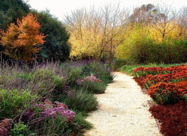 Gärten-von eckersley-architects Pflanzenarten einpflanzen