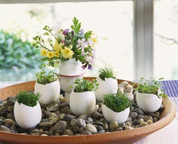 Blumentöpfe Gras Flusssteine Eierschalen Mini-Vasen