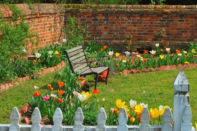 Frühling Tipps Tricks Ideen Tulpen gelb rot
