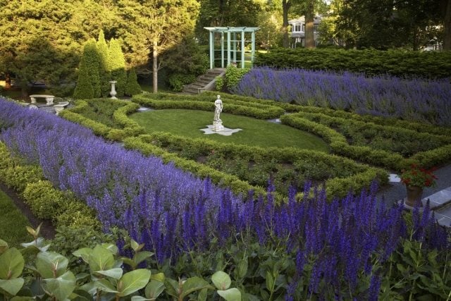Garten planen Ideen-Gestaltung Design lila blüten