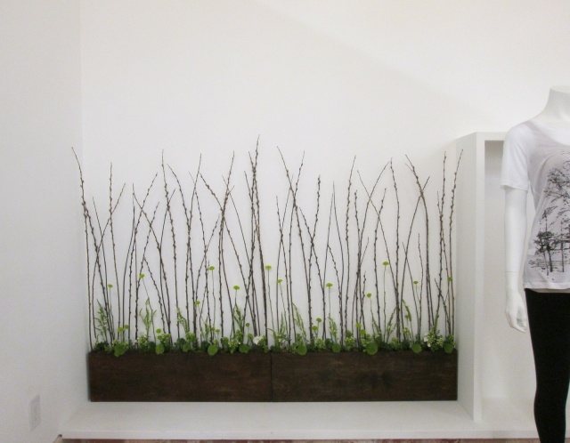 Geschäft Design Zimmerpflanzen Blumengesteck indoor begrünung