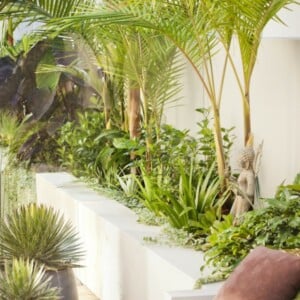 Kleingarten bepflanzen Palmen Sommer Sonne Holz Terrasse Sitzbank