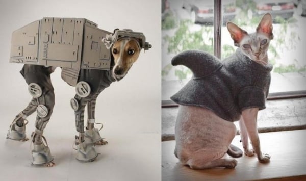 Kreative Fasching kostüme accessoires Ideen-Hund katze-Haustier Kostüm