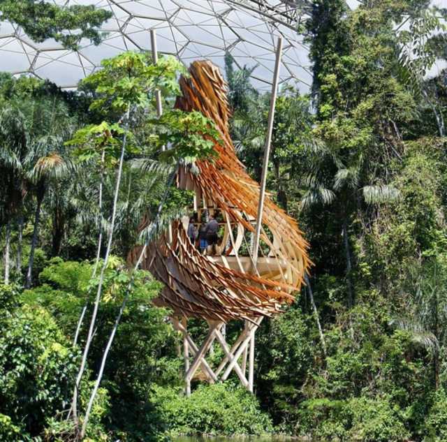 Nest Haus Holz Baum selber machen originelle Idee