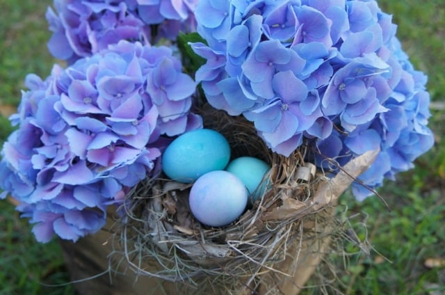 Vogelnest Deko Garten Frühling Hyazinthe blau