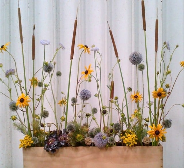 Gesteck Blumenkübel bepflanzen Rohrkolben-frühjahr blüher 