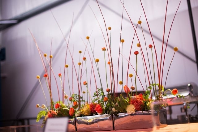Tischdeko Blumen design gestecke clover-chadwick