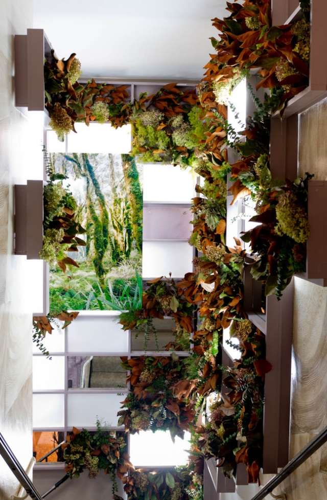 Zimmerpflanzen Deko vertikale behälter idee treppenhaus fenster