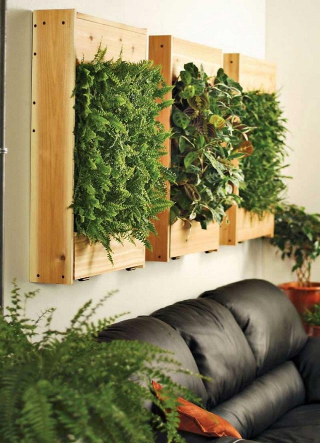 Zimmerpflanzen-Deko vertikale gärten farnen holzkasten ledersofa