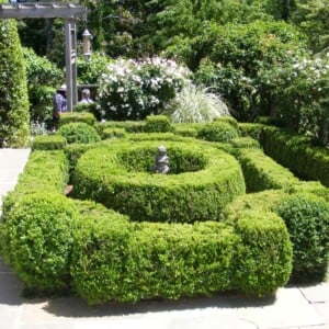 Lärmschutz für den Garten