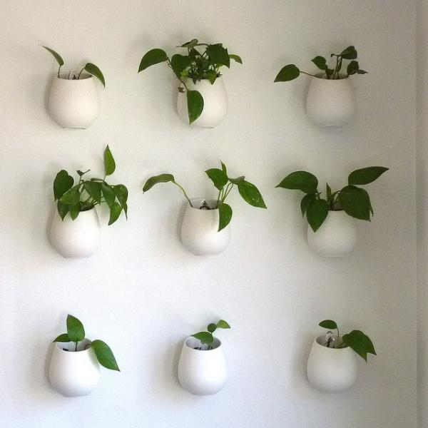 Pflanzgefäße Indoor-Garten gestaltung vertikal-begrünte Wand