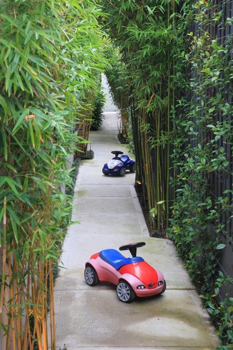 garten im innenhof bambuspflanzen eingang gehweg kinder spielzeuge autos