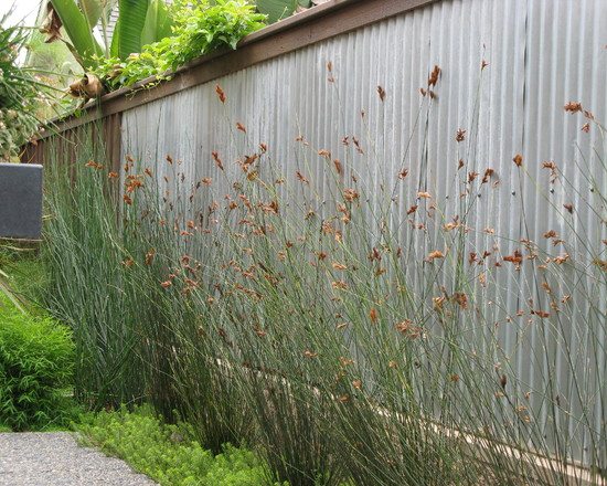 gartenzaun ideen sichtschutz vorgarten wellplatten deko gräser