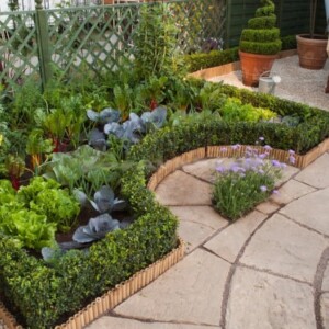 Tipps für Ihre Gartengestaltung
