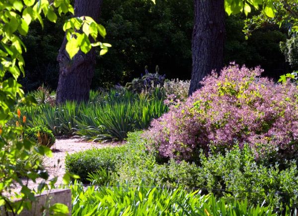 Blühend-Gartengestaltung ideen Tipps-Pflege Trockene-Gebiete