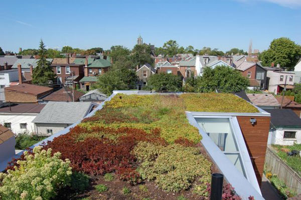 haus prachtigen dachgarten bepflanztes dach projekt