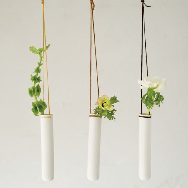 hängende Zimmerpflanzen Pflanzgefäße reagenzglas ideen design