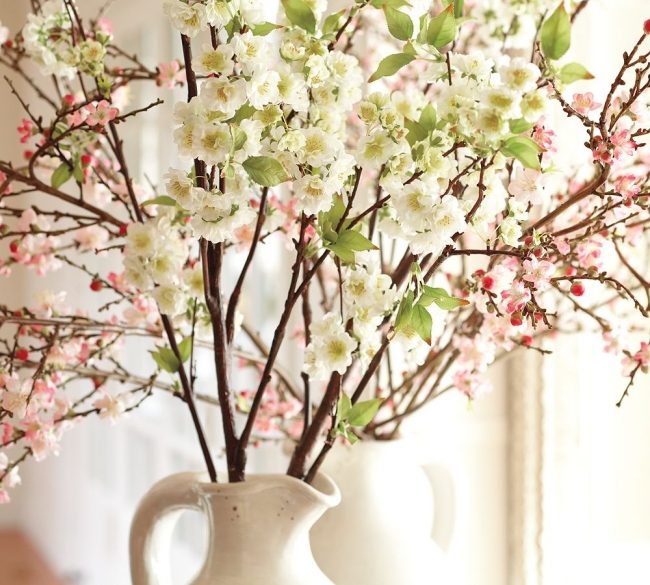 kirschblüten porzellan kanne pflanzen nach feng shui energie haus