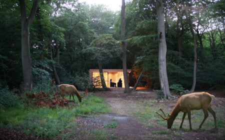 moderne Garten Gestaltung Haus Wald Glas Wand vorgefertigte Paneele