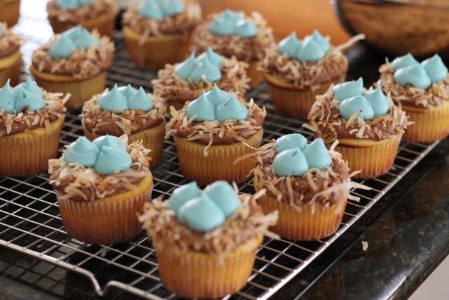 rezept oster cupcakes blaue küken nest backen
