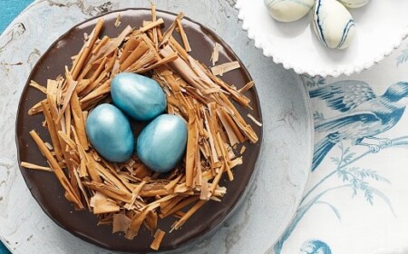 schokokuchen-für-das-osterfest-köstlich-trüffel-vogel-nest-feiern