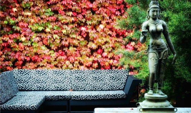 terrasse sitzecke sofa statue wand rote kletterpflanzen