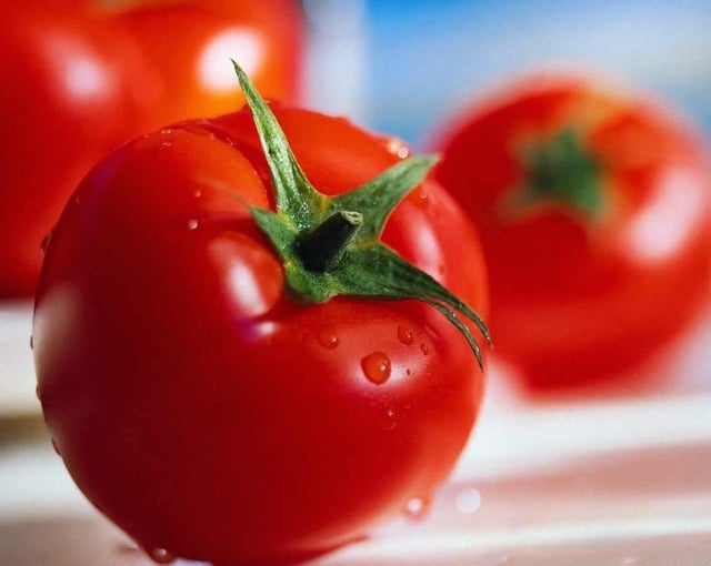tomaten rot gerade gewaschen lecker mineralstoffen enthalten