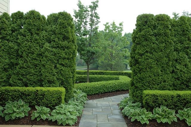 englischer Garten gestalten Buchsbaum pflegen Sichtschutz