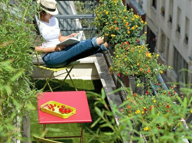 überwintern Ideen Pflanzarten Sommer Balkon cool