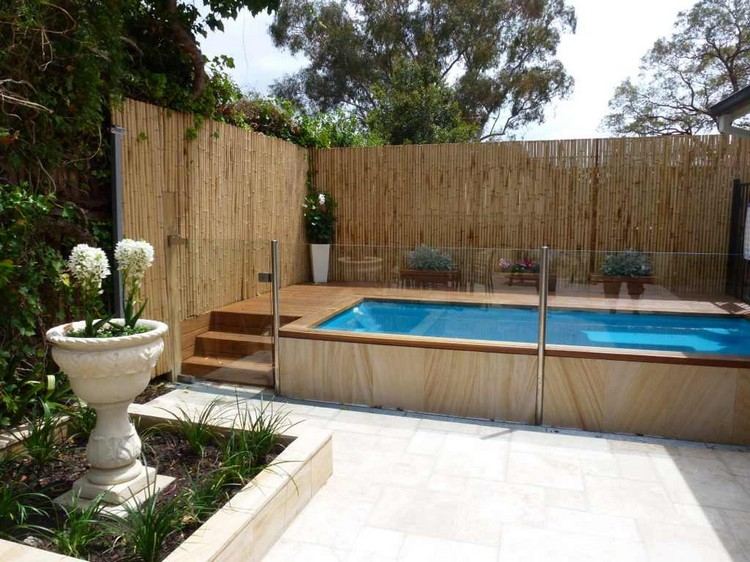 Bambus um Pool bietet Sichtschutz für Terrasse
