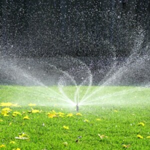 Bewässerung Tipps-Rasenfläche sprinkle rasen sprengen beregnen