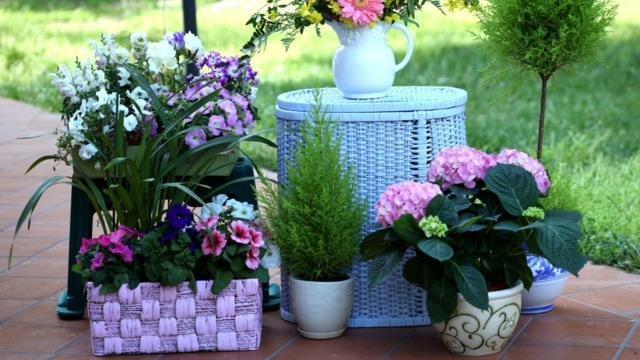 rustikal Hortensien rosa Farbe Keramik Vasen Topfpflanzen