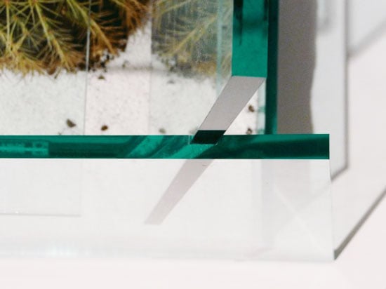 Stuhl-kaktus blumenkübel integriert aus glas-Detail