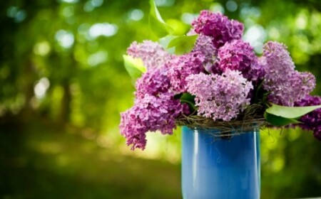 Fliederstrauß lila rosa Farben-dezent Frühlingsblumen