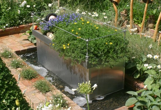 Frühling Garten-Pflanzen Wasser Sonne Naturteich anlegen Ideen