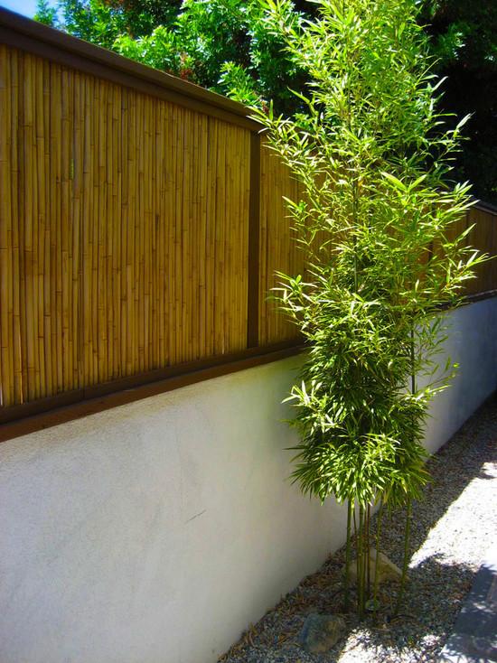 Ideen Sichtschutz Beton Bambus Zaun