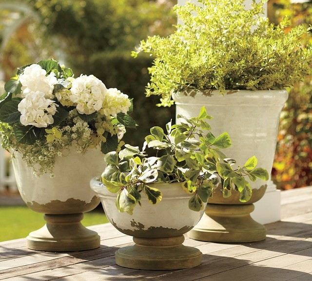 gestalten anlegen frische Blumen Keramiktöpfe schöne exotische Pflanzen