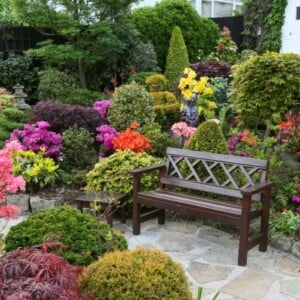 Garten Landschaft bunt blühende arten-sitzgruppe gestalten-im freien