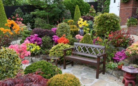 Garten Landschaft bunt blühende arten-sitzgruppe gestalten-im freien