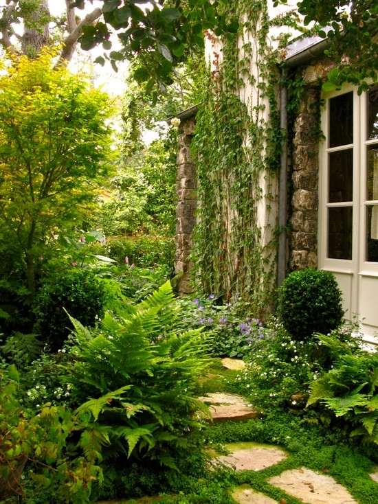 Gartenwege überwuchert Landhaus-Efeu-Kletterpflanzen Haus 