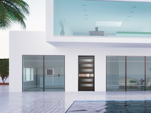 Pool moderne Stahltür Glas stabil originell Nebeneingangstür