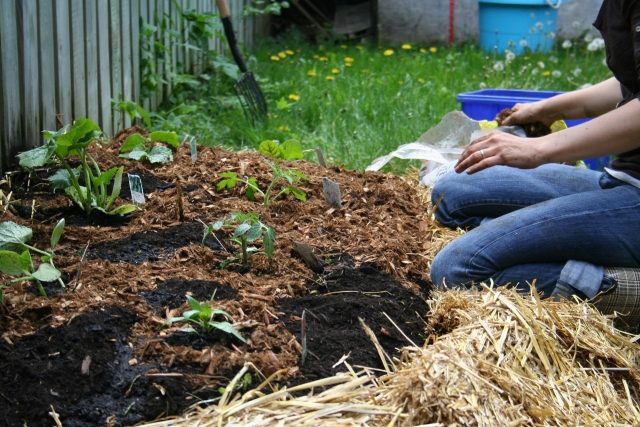 Idee Gartengestaltung kompost elemente ableger machen anordnen