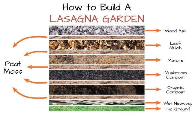 Idee für Gartengestaltung wichtige hinwiese beachten lasagne