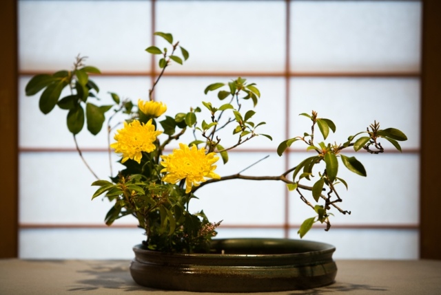 Bilder Blumengestecke zuhause selber machen Vasen