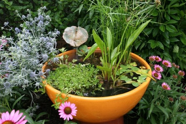 Wassergarten Balkon anlegen Ideen schnelle Anleitung frische Blumen