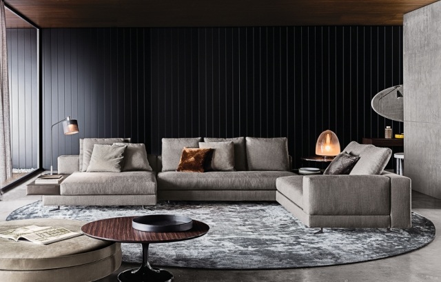 Lounge Möbel-indoor polstermöbel Sofas grau-Teppichboden accessoires